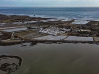 dji_fly_20240208_154206_358_1707407182996_photo